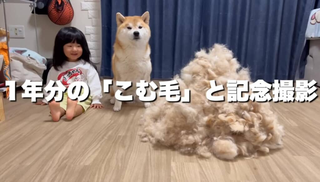 こむぎくんの頑張りで「こむ毛」が完成！