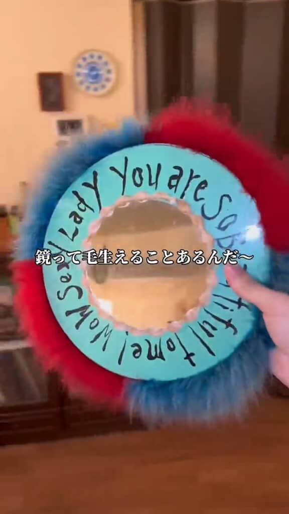 母親に鏡欲しいと言って、出てきたのがこれ。そもそもどこでどうやって手に入れるの……