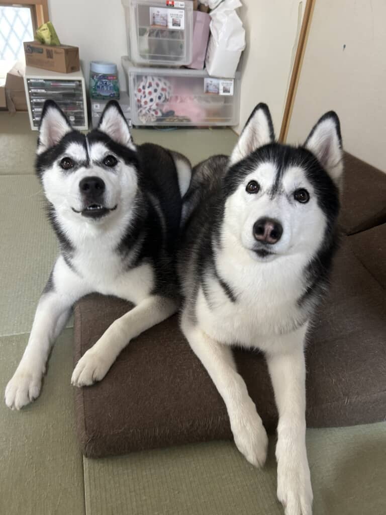 口の差がおもしろい