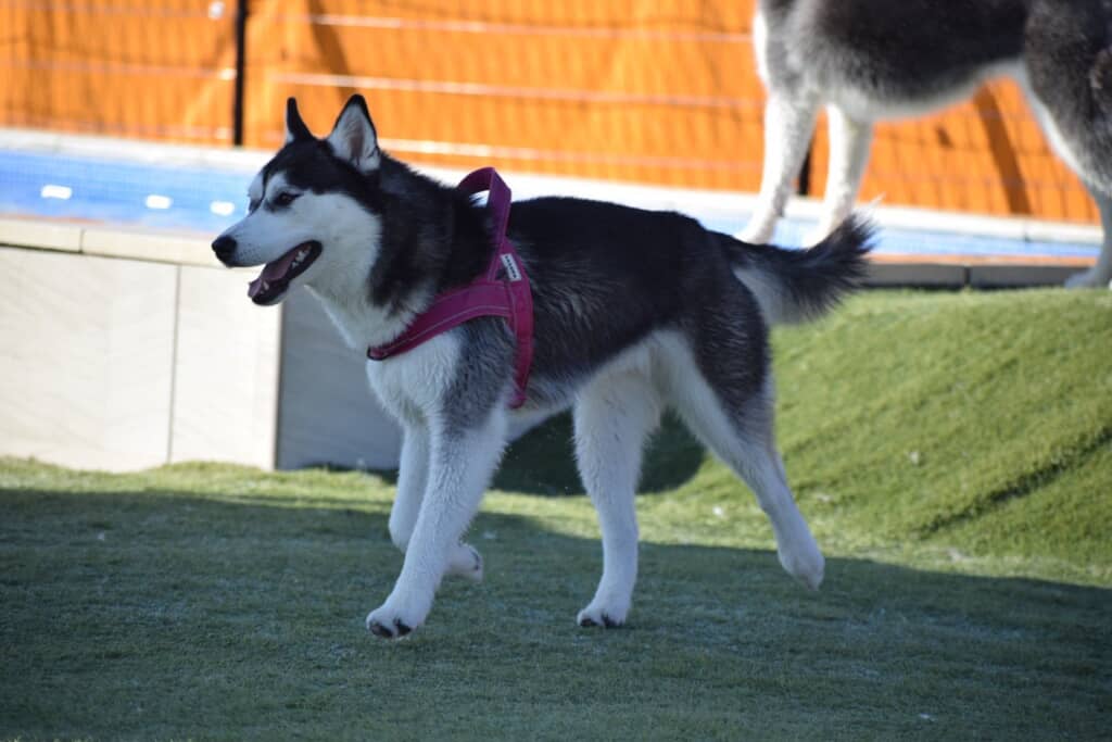 立派に成長しました！