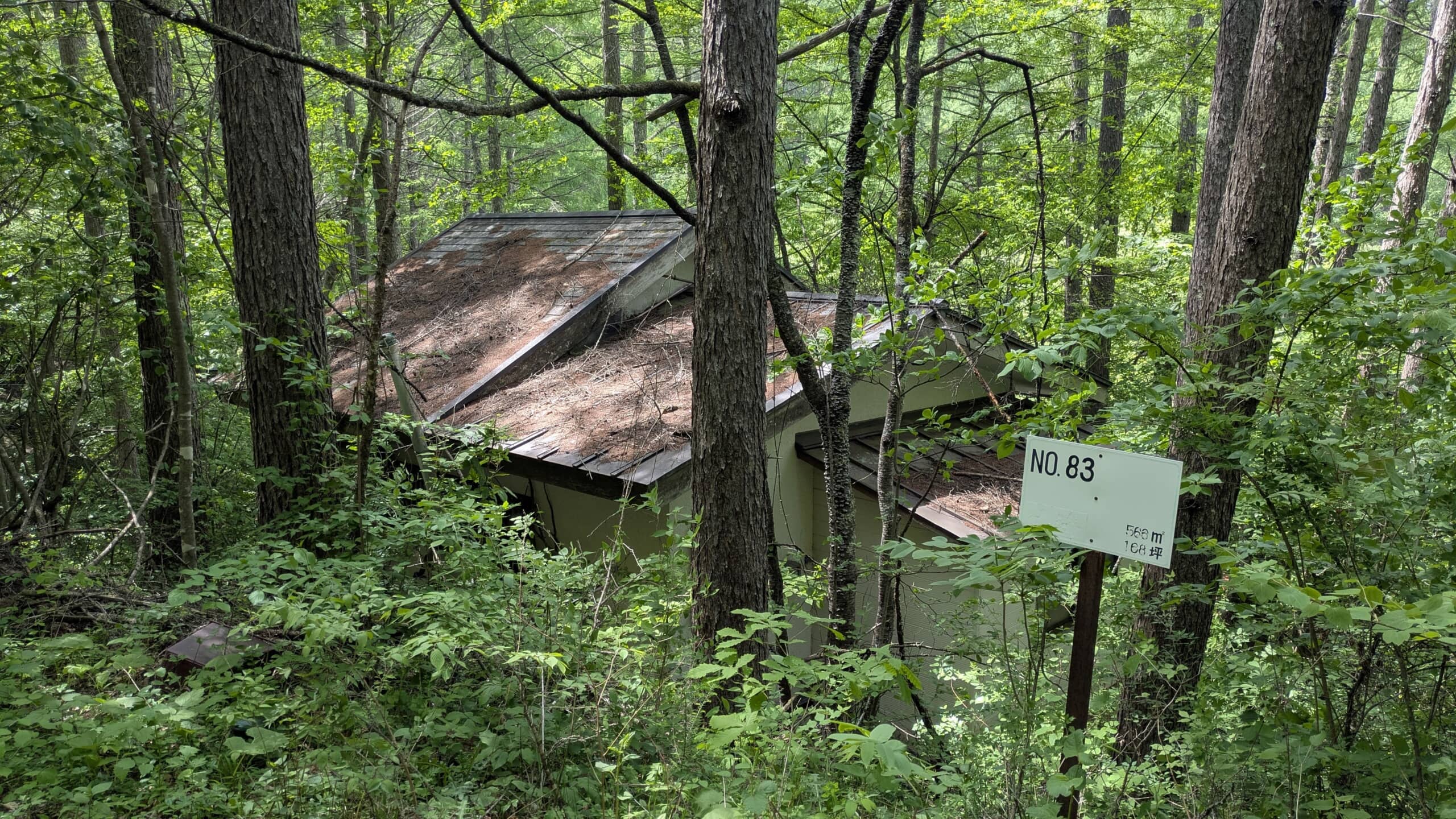 「もう自分の土地が分からない」「0円でいいのに……」　売れない分譲地“0円物件”　手放せない背景、拡大する有償引取サービスなどの実態に迫る【限界ニュータウン探訪記 ねとらぼ版】 | 住まい ねとらぼ