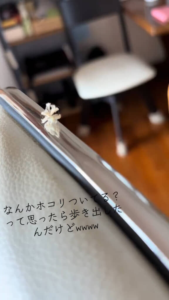 足を動かしているのがわかります