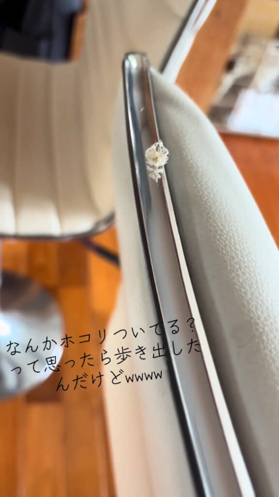 思ったよりもスーッと早足で歩いていきます