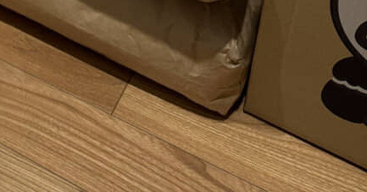 引っ越しのあいさつへ→近所のおじいさんが「待っておったぞ」とくれた“まさかの新築祝い”が366万表示「スケールデカすぎw」「シンプルに神」（1/3） | ライフスタイル ねとらぼ