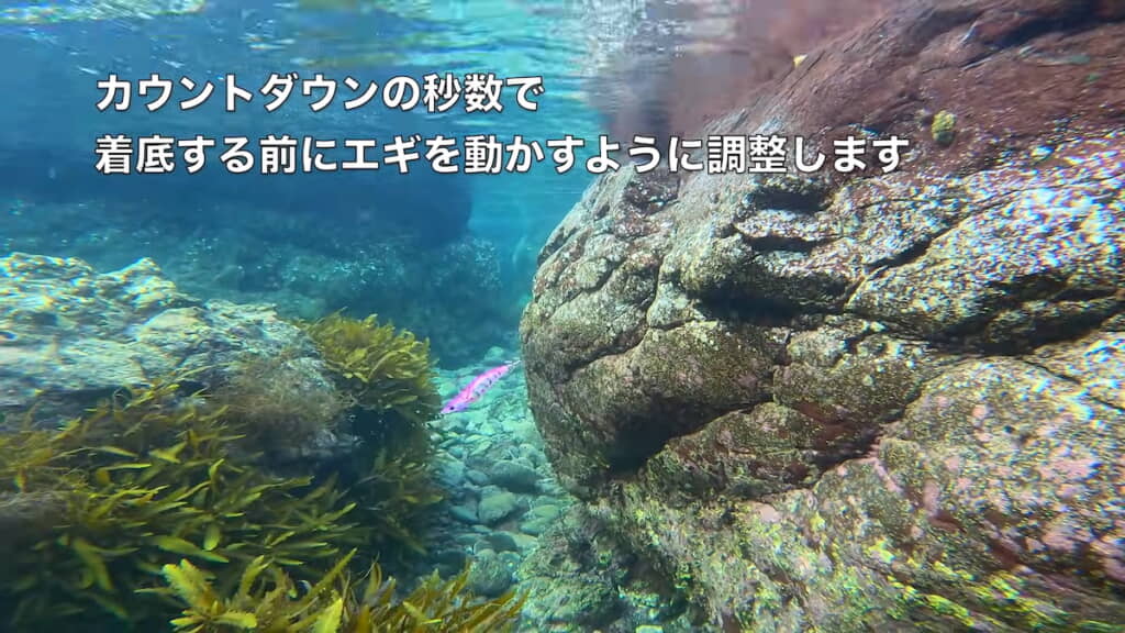 中央のピンクのものがエギ（餌木）