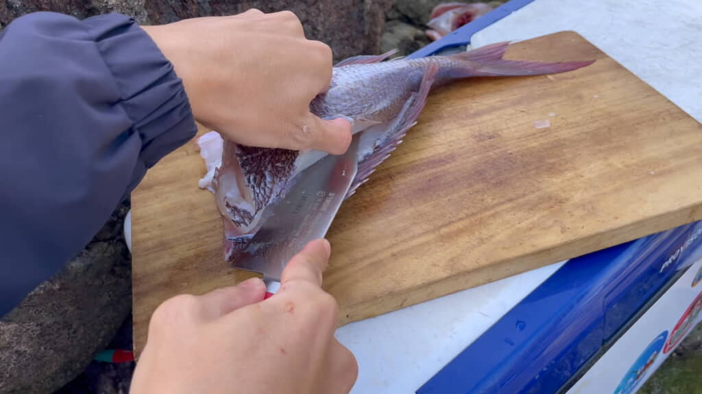 マダイをさばいていく