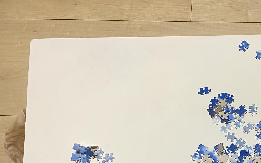 ジグソーパズルにダイブした犯人