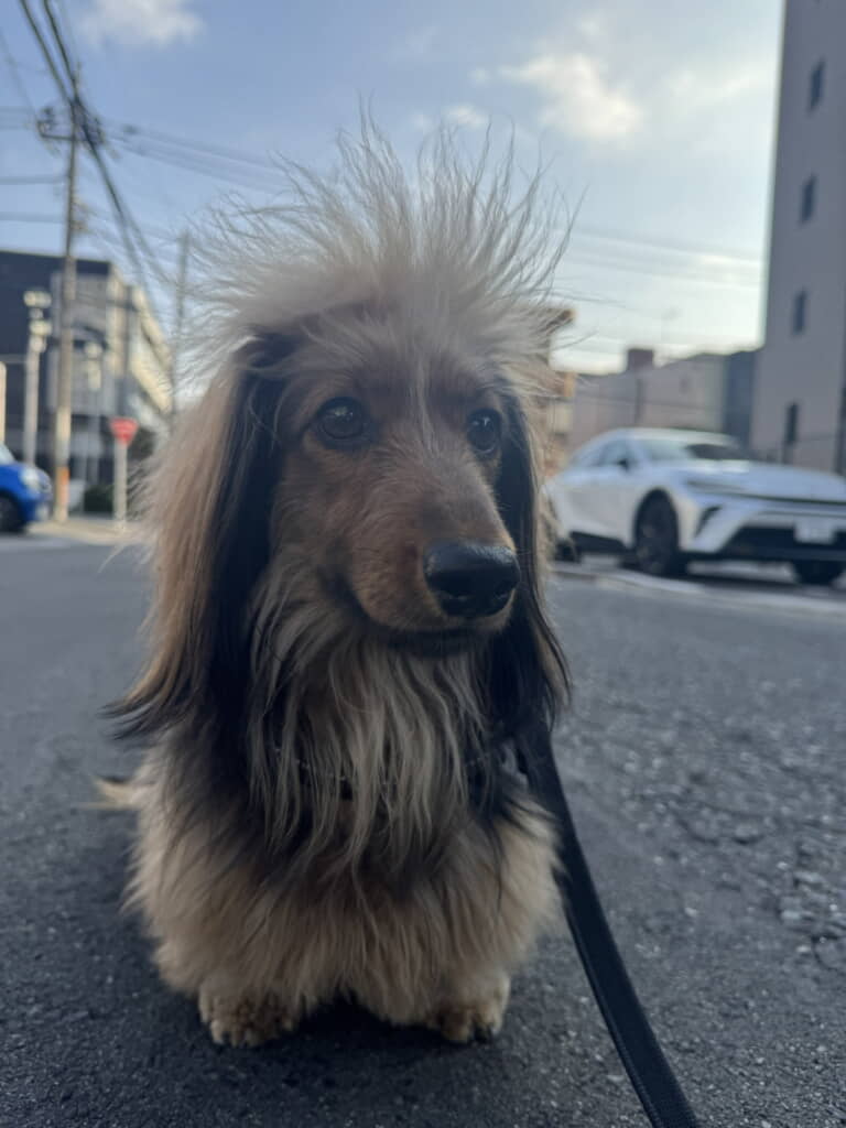 これは確かにかっこいい