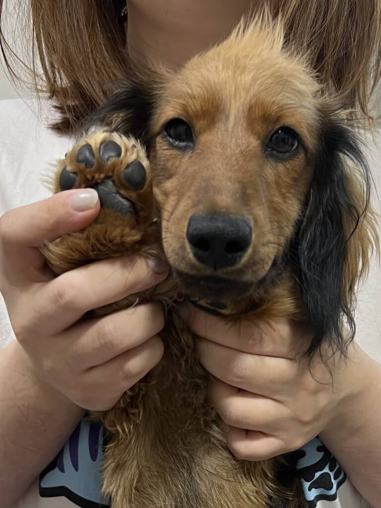 ちょこっと育ってきました