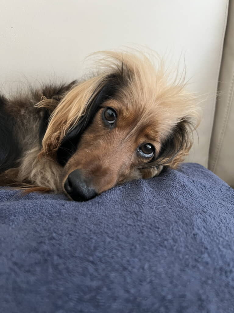 なんでも言うこと聞いちゃいそう