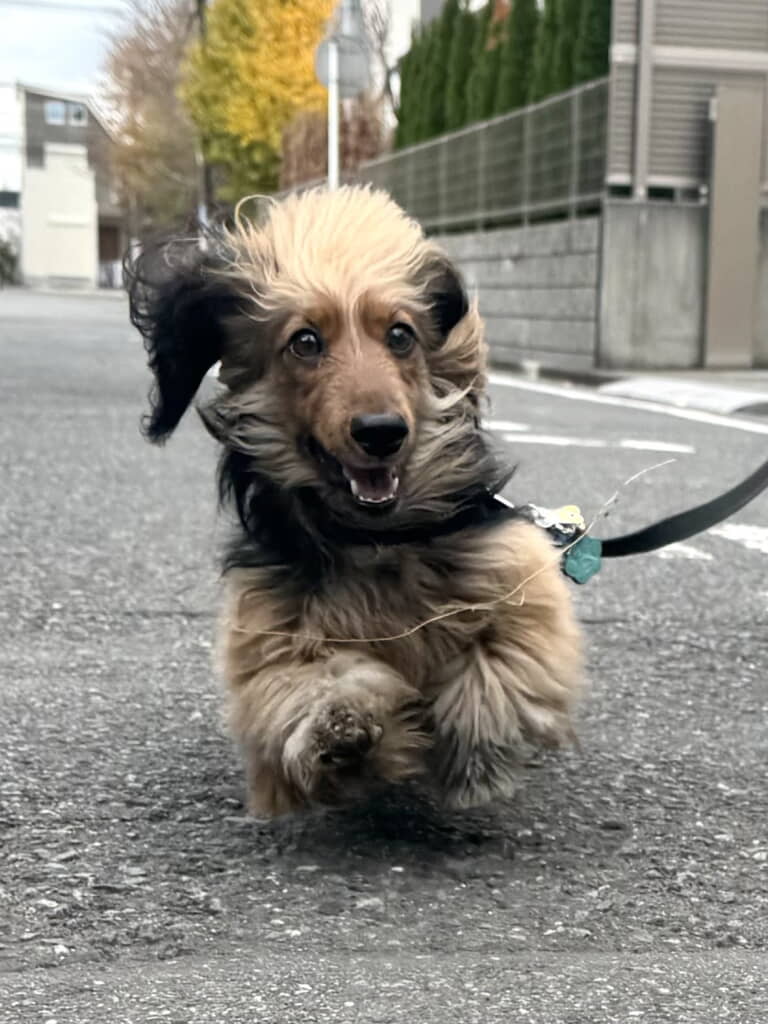 茂みにつっこんだあとは大興奮！