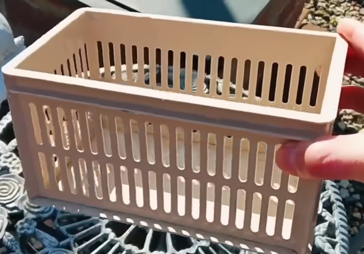 ダイソーのアイテムを折ったり押したりするだけで……庭の雰囲気ガラリ！　天才アイデアに「目から鱗」「早く知りたかった」（1/3） | リフォーム・リノベーション・DIY ねとらぼ