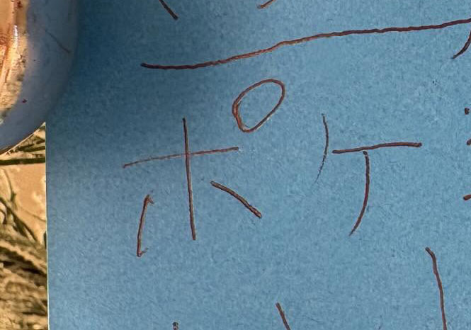 元気よく書いたサンタさんへのお願い。欲しいのはポケモンかな……？