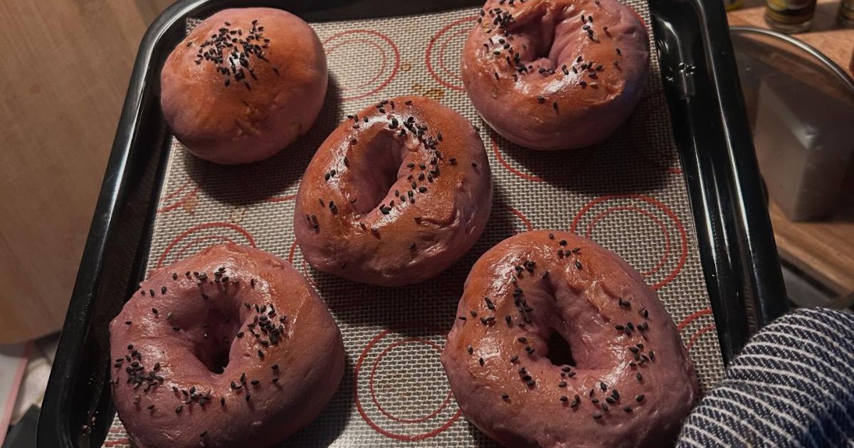 「1日24時間じゃ足りない」多趣味すぎる人の“驚きの生活”　「とっても羨ましい」「めちゃくちゃ素敵」（1/3） | ライフスタイル ねとらぼ