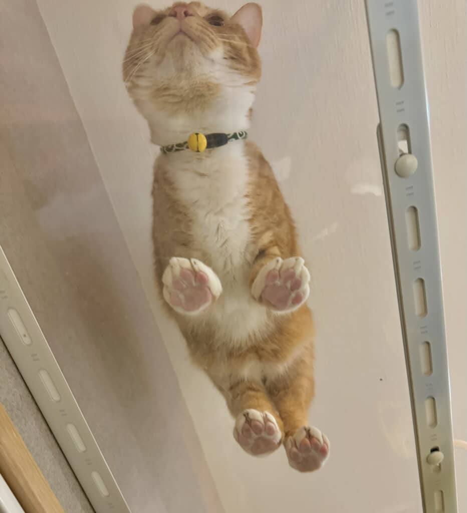 むっっ……っちり…！！