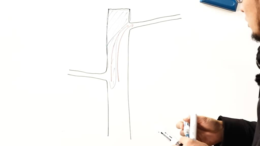 先端に主幹が残っていると枯れしまうため