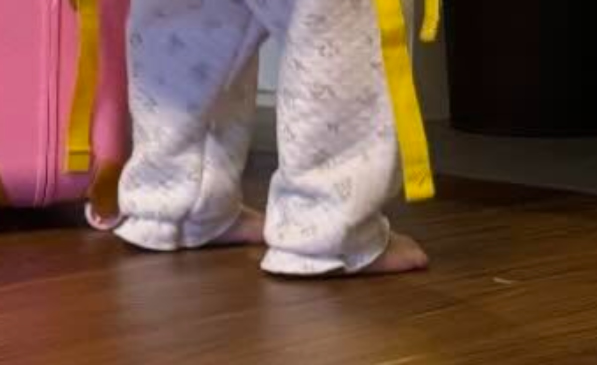 愛が重すぎる小学生の兄→覚悟を決めた1歳の妹が……　まさかの光景に「ニヤニヤが止まらない」「それにしても完璧なスタイル」（1/3） | ライフスタイル ねとらぼ