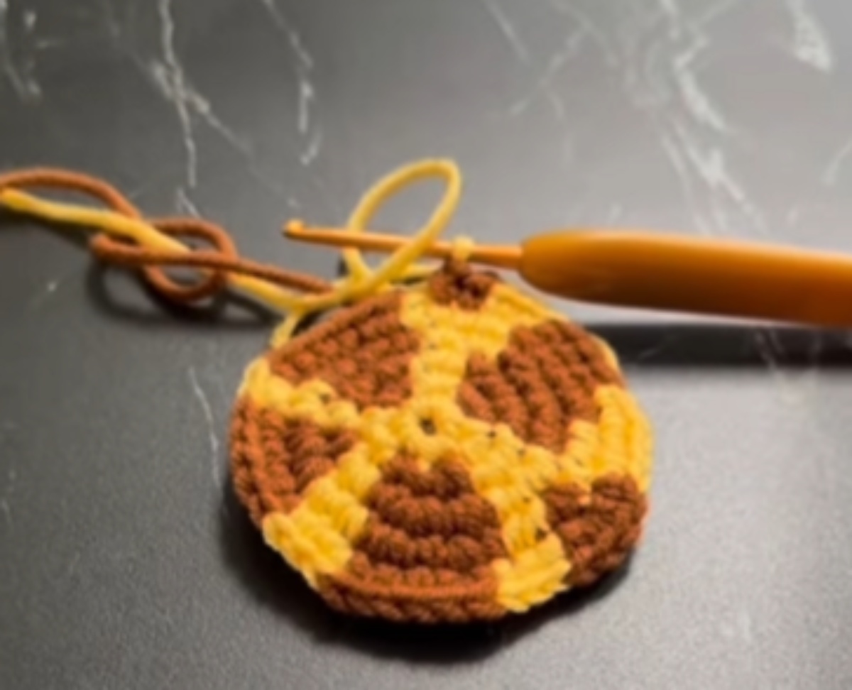 かぎ針で2色の毛糸を“まだら”に編むと……　猫もびっくりの完成品に「天才」「これは人生最高」の声【海外】（1/3） | 猫 ねとらぼ