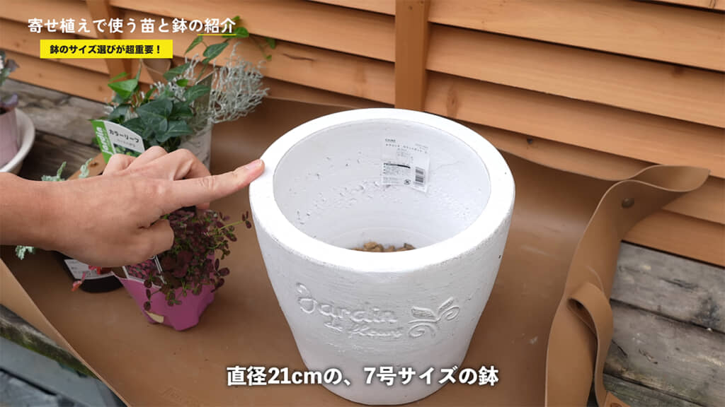 鉢にもこだわりました