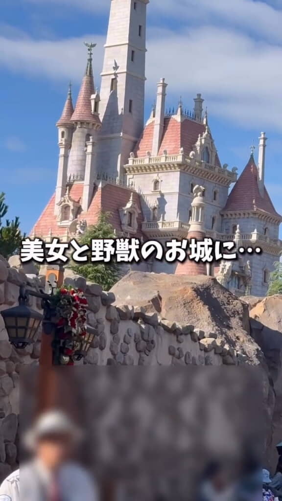 美女と野獣のお城を見ていたたまさん
