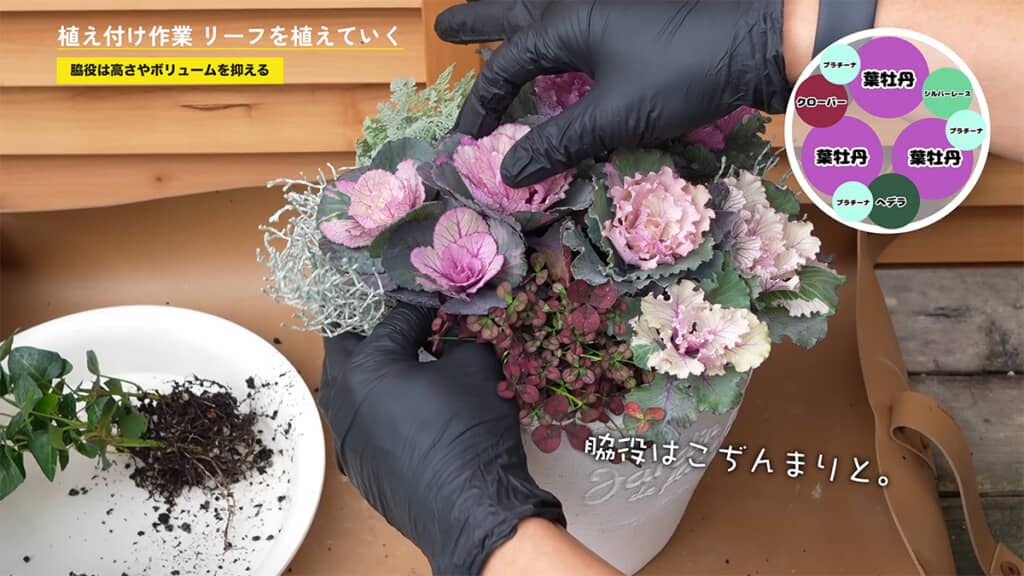 ティントクローバーは小さめに配置