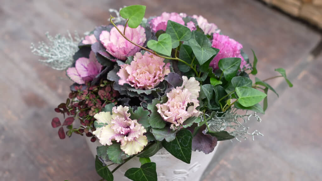 寄せ植えが完成しました！