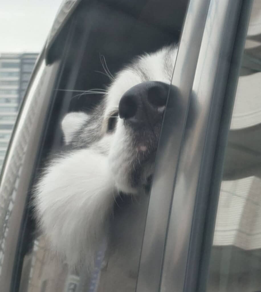 むにゅっとしています！