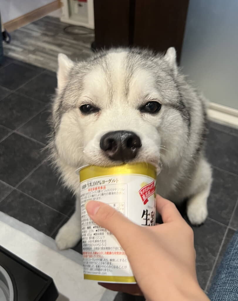 「新種の生物すぎる」
