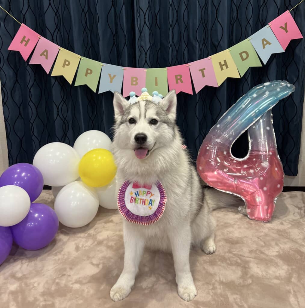 お誕生日おめでとう！
