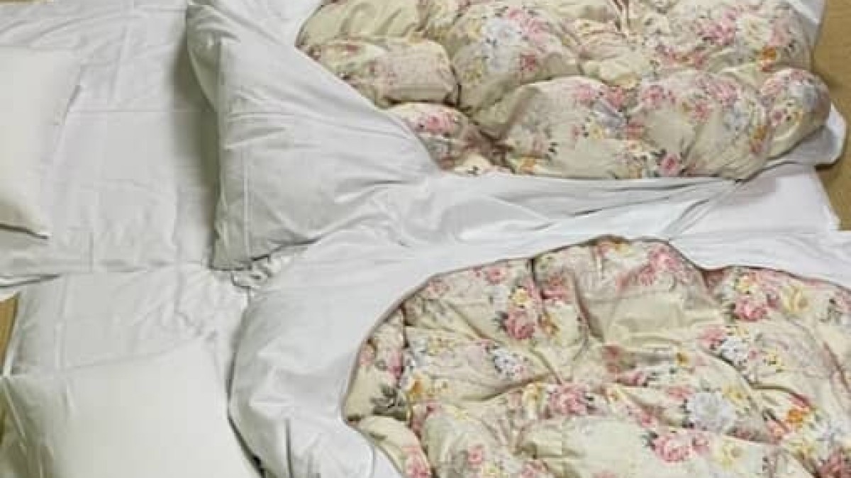 家族4人で旅行中→「何これ」とママがつぶやいた光景は……「泣けます」　「もう一度味わいたい」「それを人は幸せと呼ぶ」と共感の110万表示（1/2） | 教育・子育て ねとらぼ