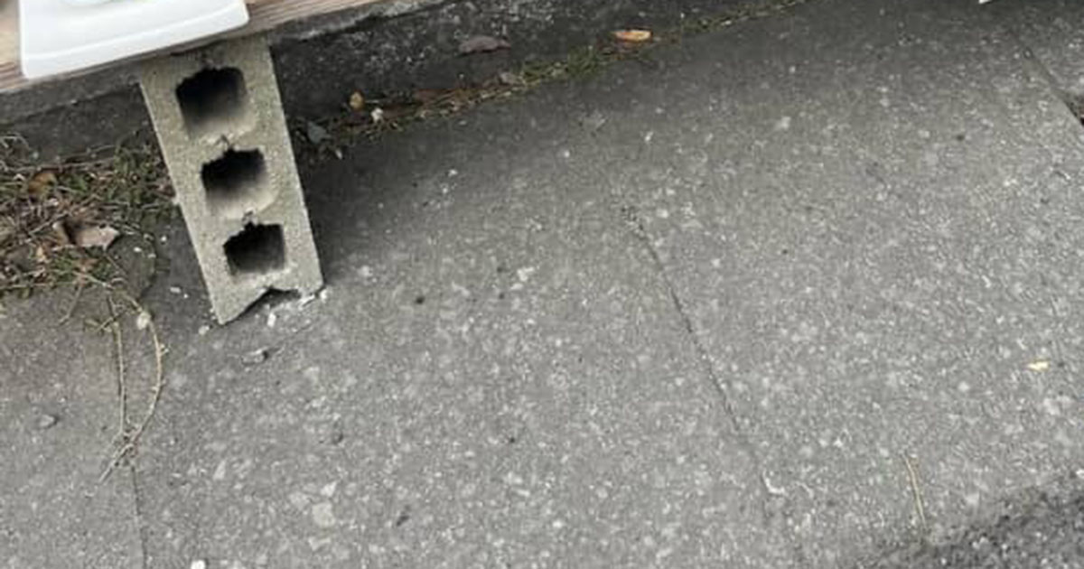 セカストに行くはずが→道中で見かけたのは……「そのまま帰ってきたww」　うそみたいな光景が300万表示「幸運すぎ」「こういうのワクワクします」（1/2） | ライフスタイル ねとらぼ