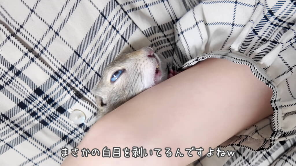 抱っこされて白目をむく
