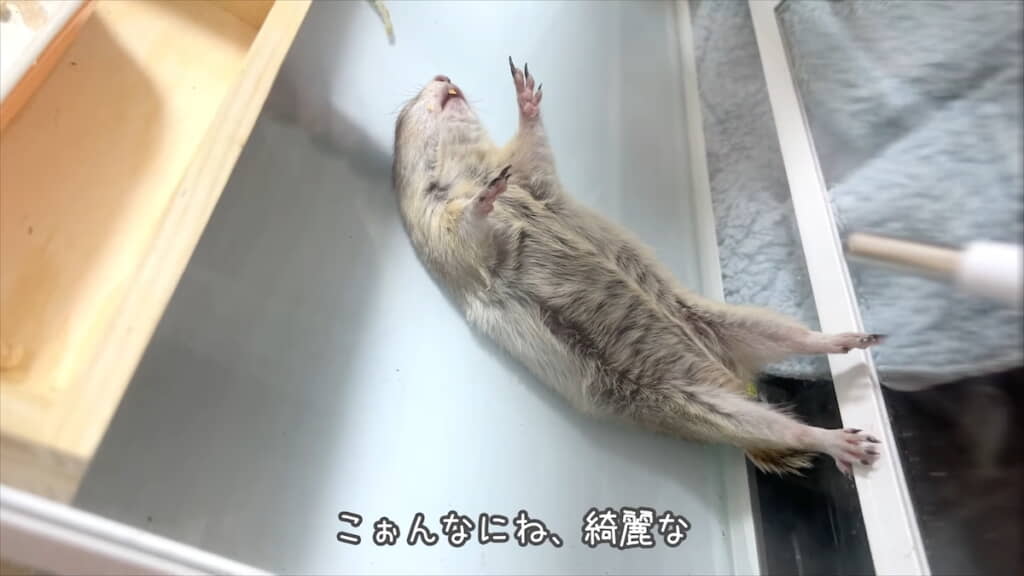 寝返りをうってあお向けに
