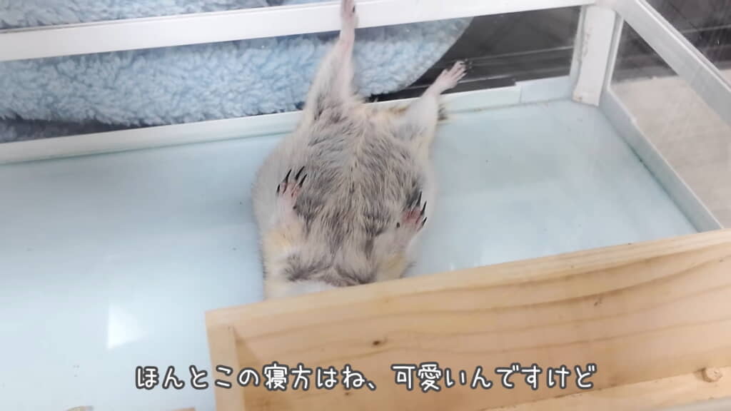 事件性を感じる寝方
