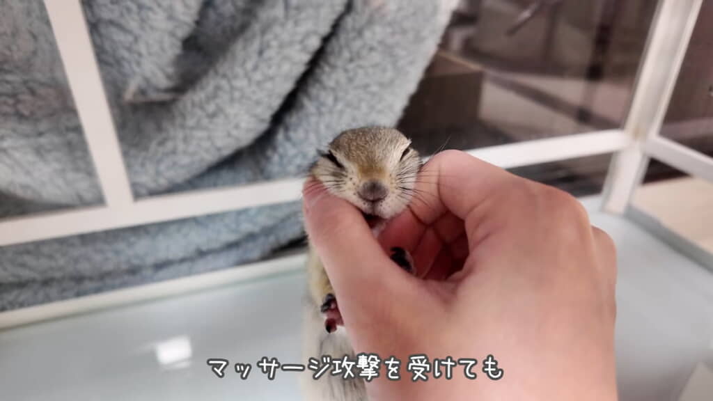 顔をマッサージしまくると……
