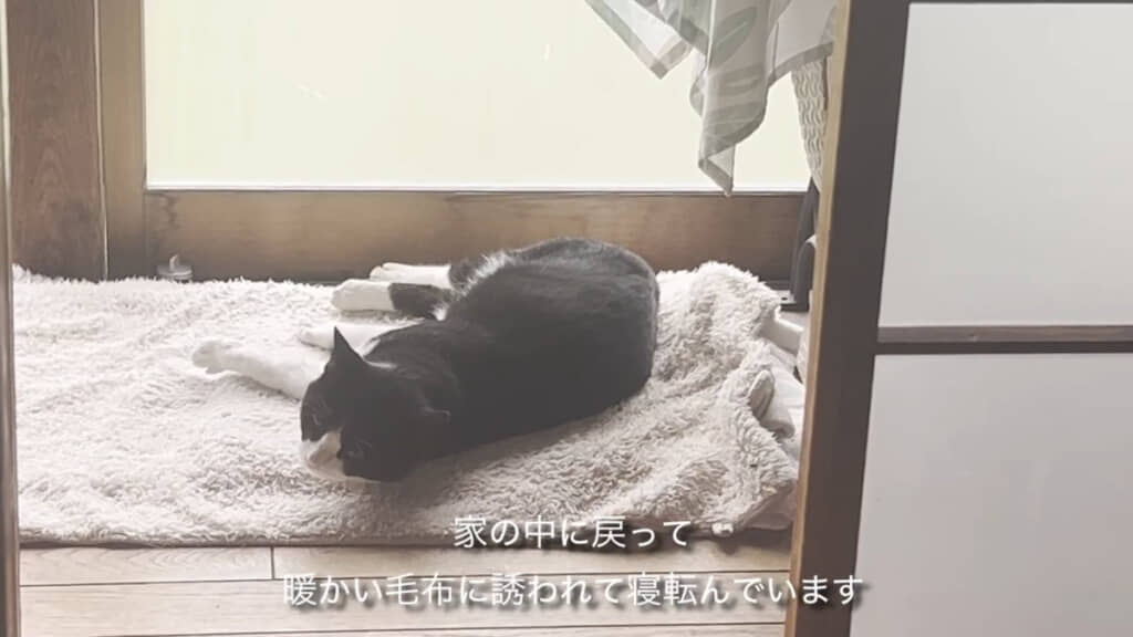 ちょっとずつ心の距離を縮めてきました