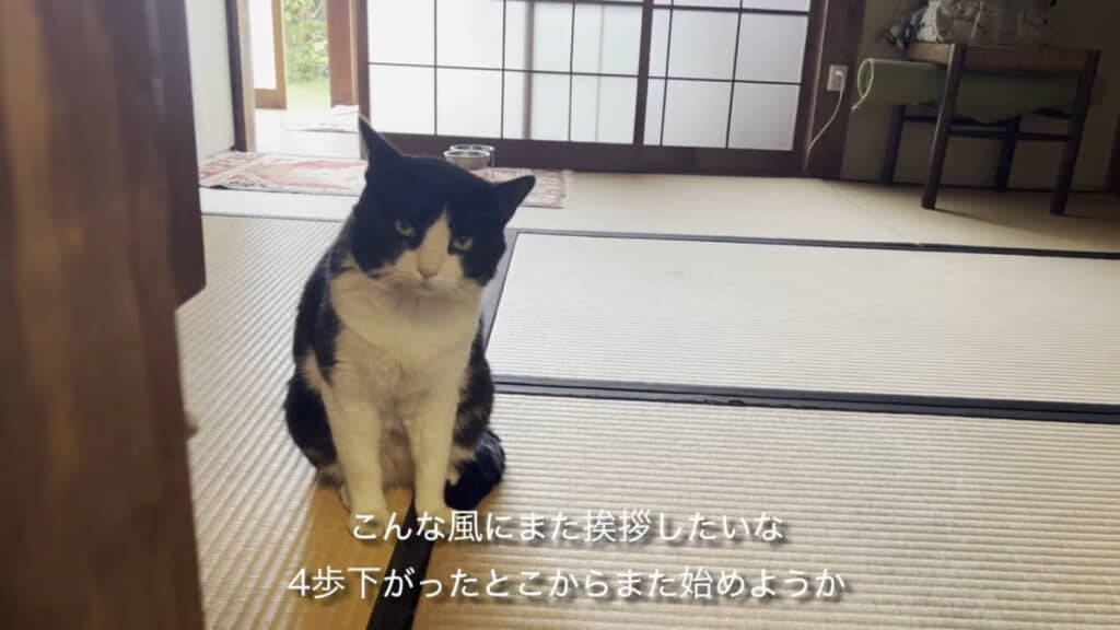 以前にはこんな風に近くまできてやり取りする様子がみられました。きっとまたすぐに心を開いて近づいてきてくれるでしょう