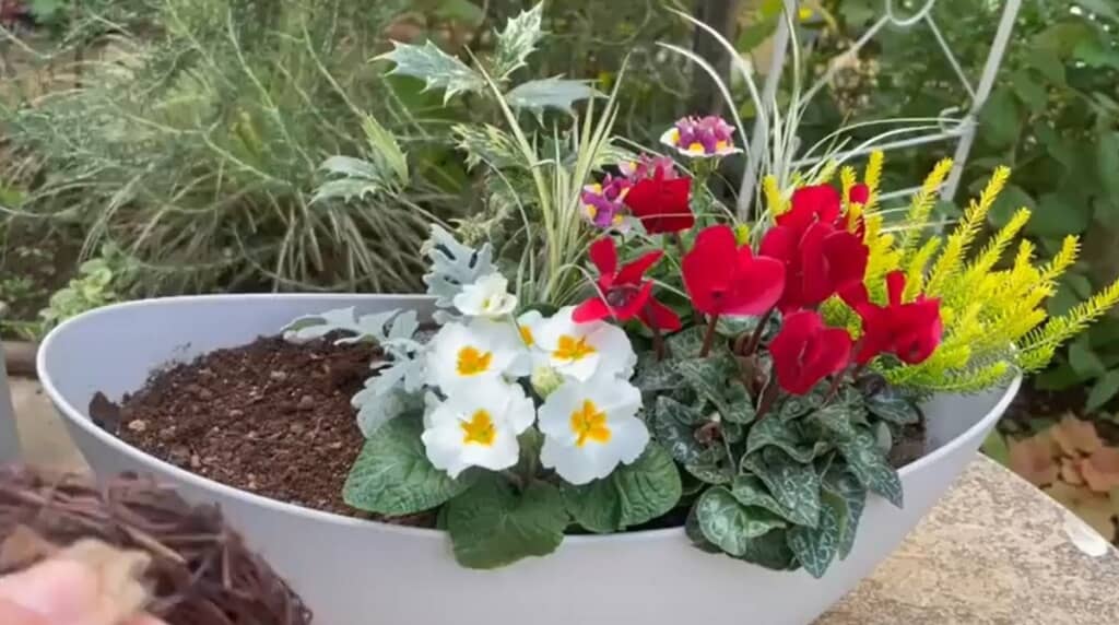 色鮮やかな花を合わせていきます