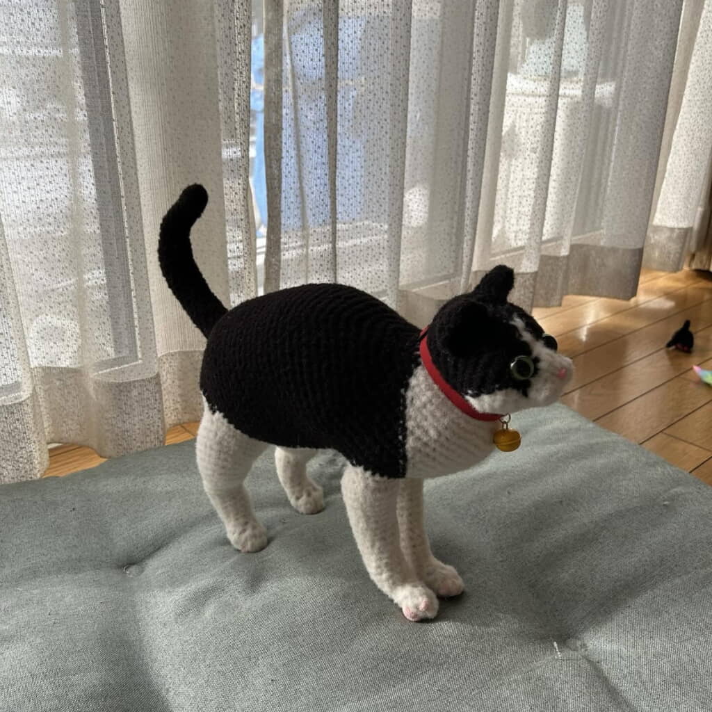 こんな様子も猫ちゃんありますね