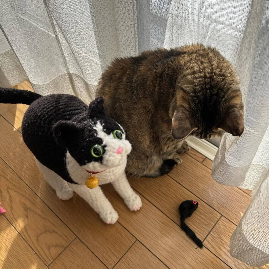 本物の猫ちゃんとツーショット
