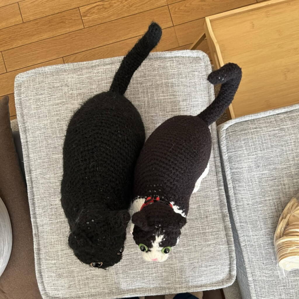 黒猫あみぐるみと一緒に