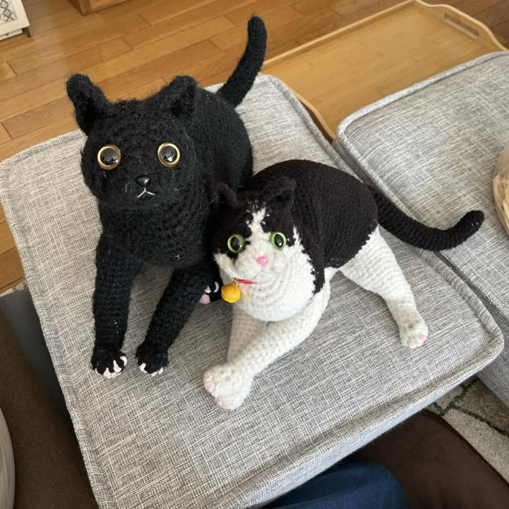 猫ちゃんたちが見上げているみたい！
