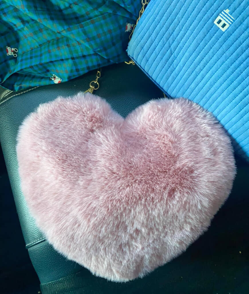 かわいらしい小さなハートのバッグに入っていたのは……