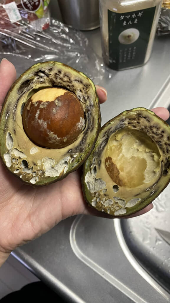 こんなビジュアルのアボカド初めて見た……！