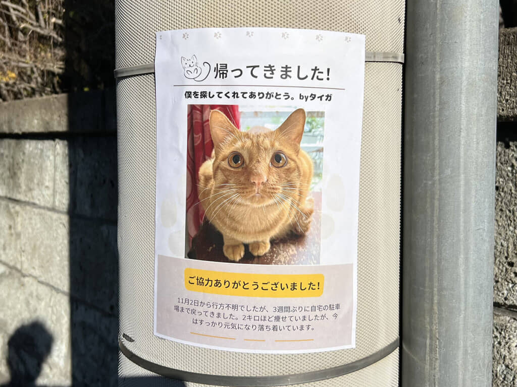 見つかって良かった〜〜〜〜!!