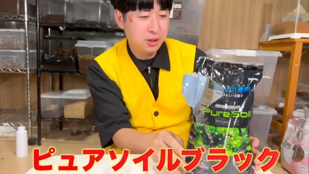 頭はカマキリ、体はゴキブリなキノカワカマキリの安全な飼育法