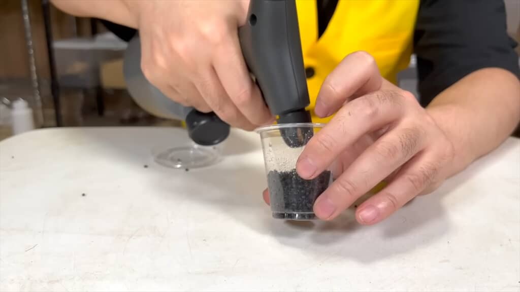 頭はカマキリ、体はゴキブリなキノカワカマキリの安全な飼育法