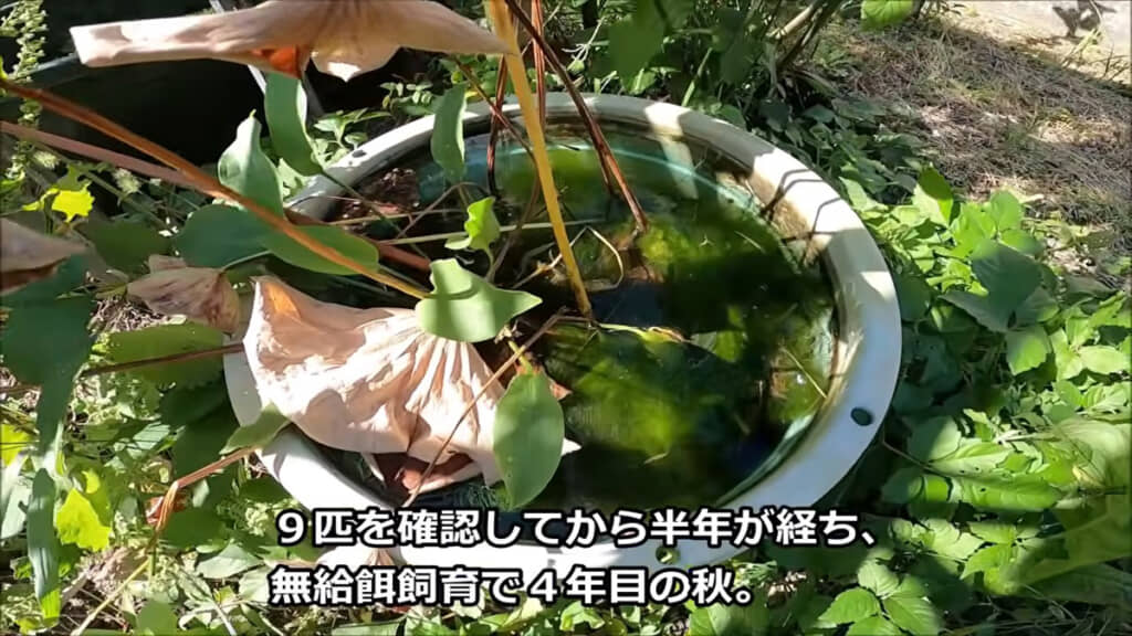 無事に過ごせているかドキドキ……