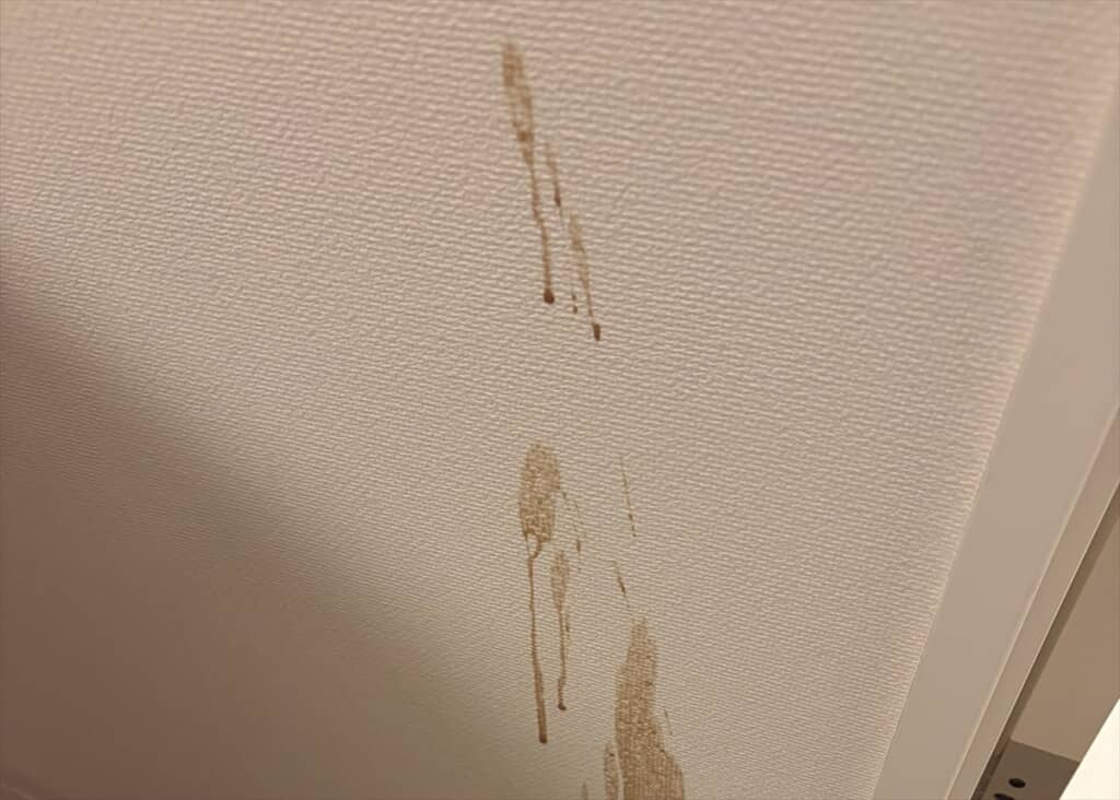 スタバの新作を床にぶちまけた現場写真