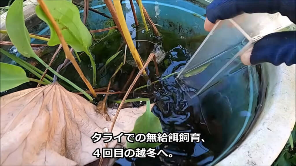 次のときは数が増えているといいな